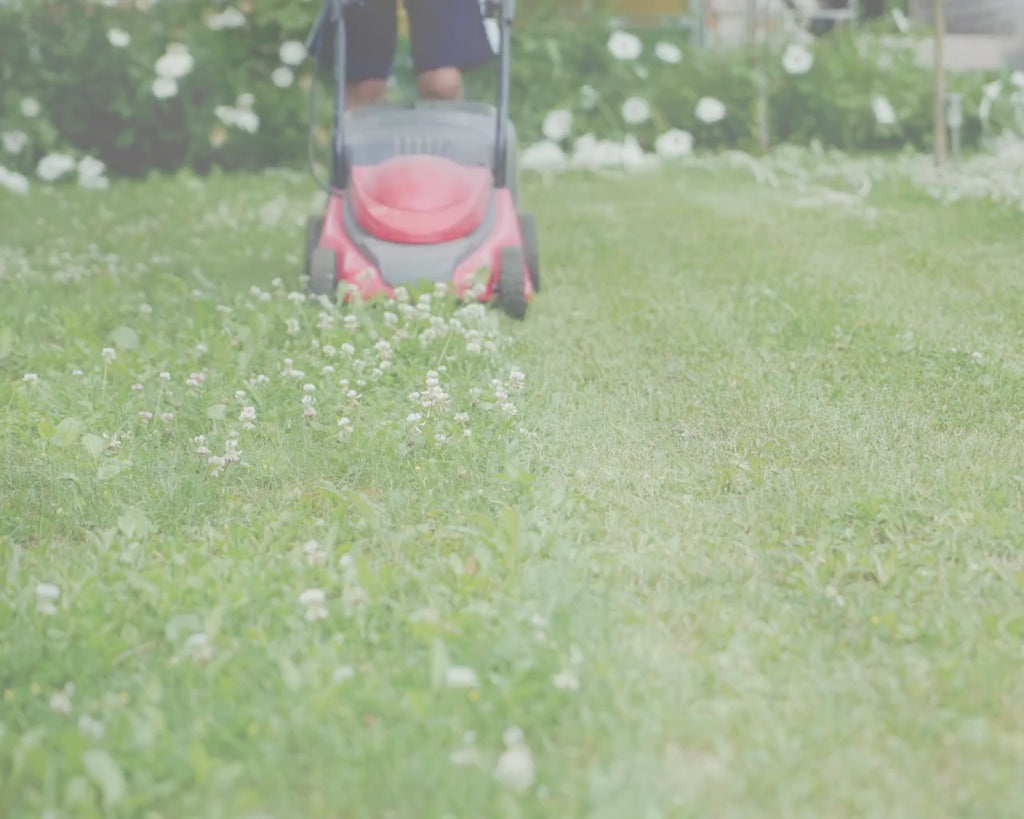 Landscaping & Lawn Care Forms Bundle, Lawn Care Services Forms, Garden Care Forms, Landscaper Forms, Forms Bundle, Price Sheet, Canva