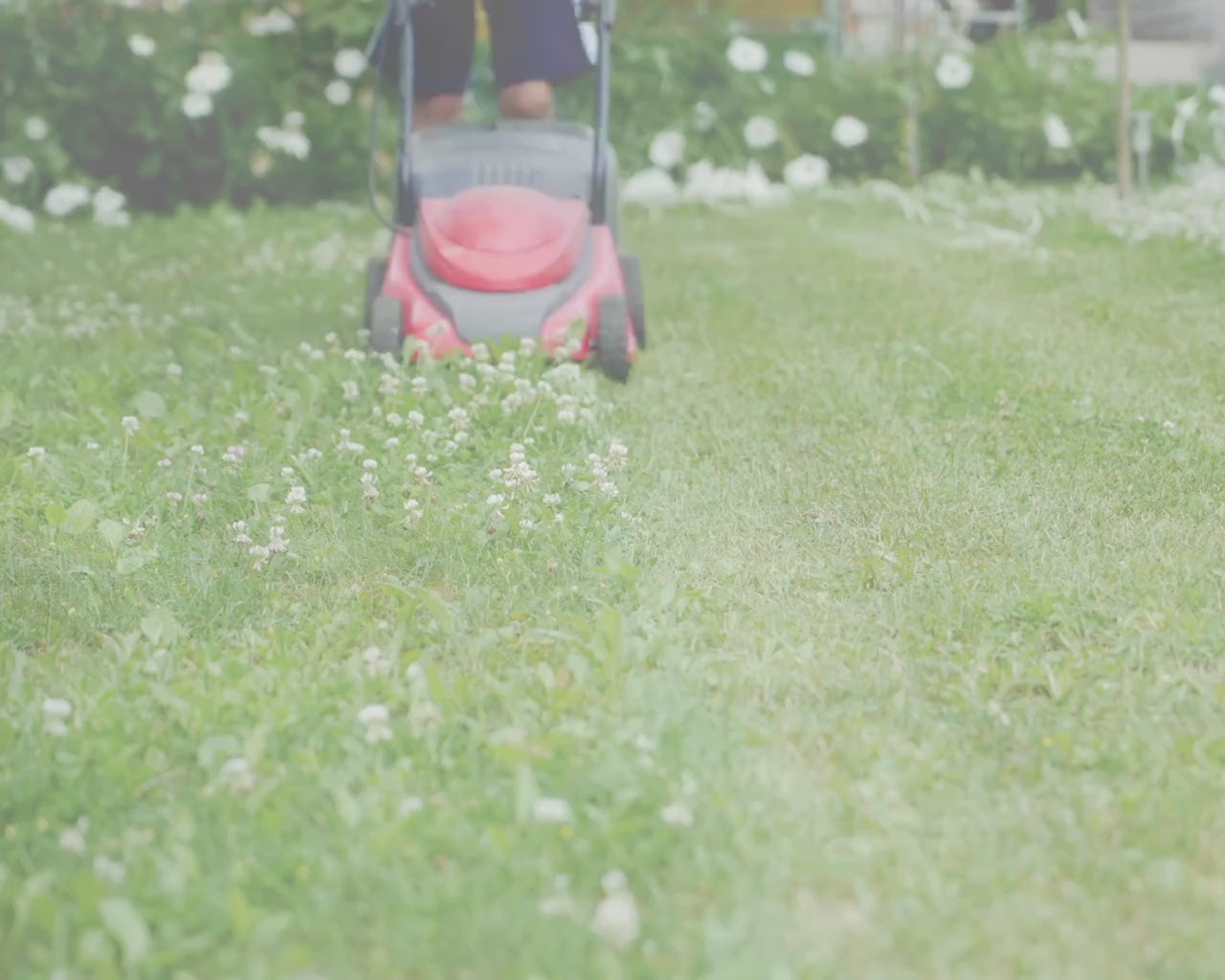 Landscaping & Lawn Care Forms Bundle, Lawn Care Services Forms, Garden Care Forms, Landscaper Forms, Forms Bundle, Price Sheet, Canva